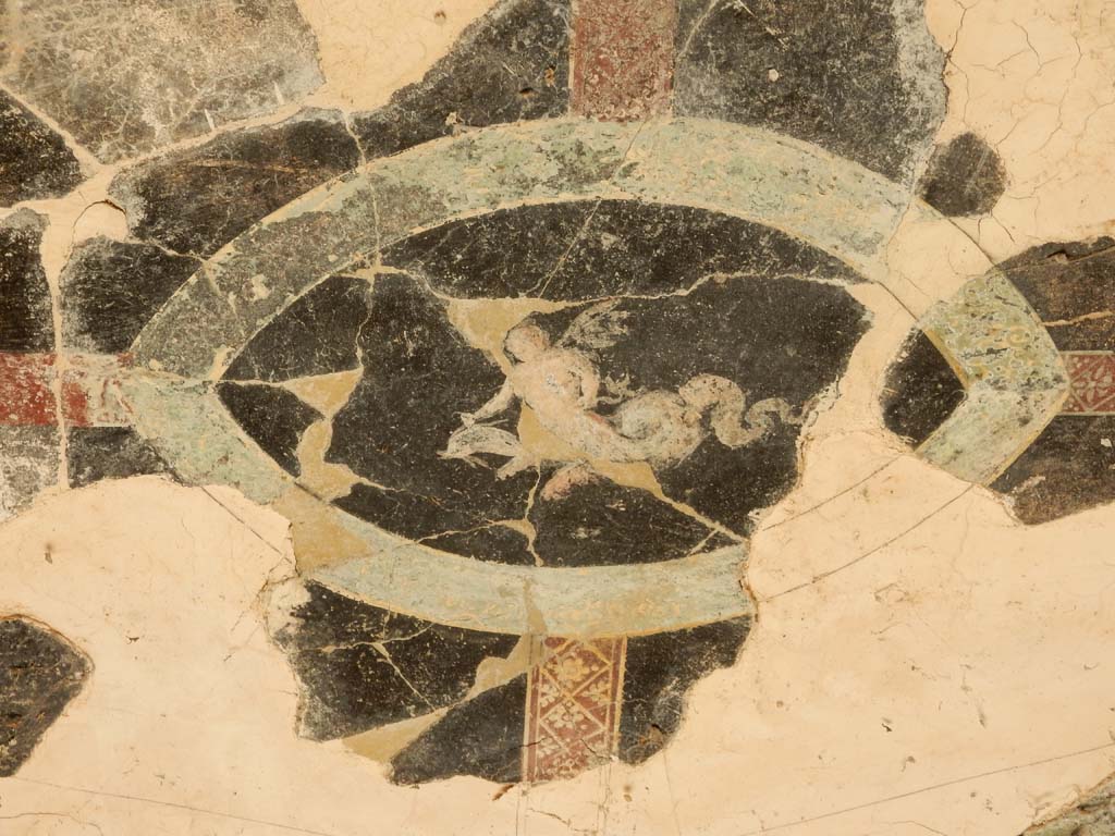 Villa San Marco, Stabiae, June 2019. Room 35, detail from alcove ceiling. Photo courtesy of Buzz Ferebee