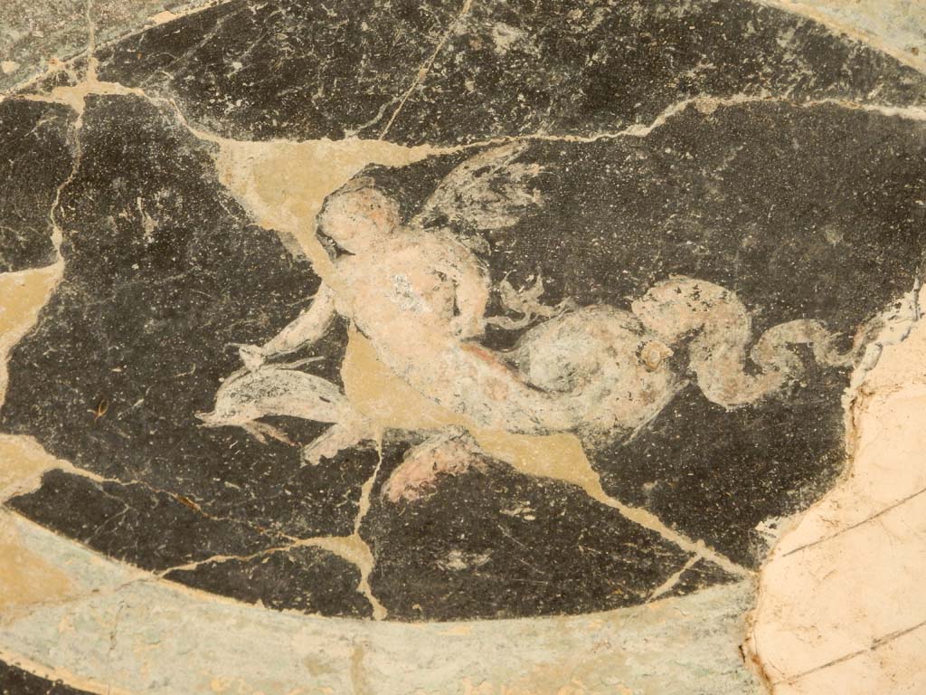 Villa San Marco, Stabiae, June 2019. Room 35, detail from alcove ceiling. Photo courtesy of Buzz Ferebee