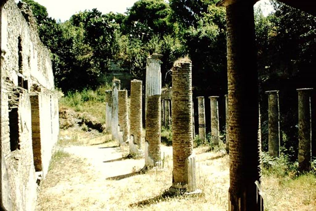 Villa of Mysteries, Pompeii. 1957. Large colonnade, looking east. Photo by Stanley A. Jashemski.
Source: The Wilhelmina and Stanley A. Jashemski archive in the University of Maryland Library, Special Collections (See collection page) and made available under the Creative Commons Attribution-Non Commercial License v.4. See Licence and use details.
J57f0383
