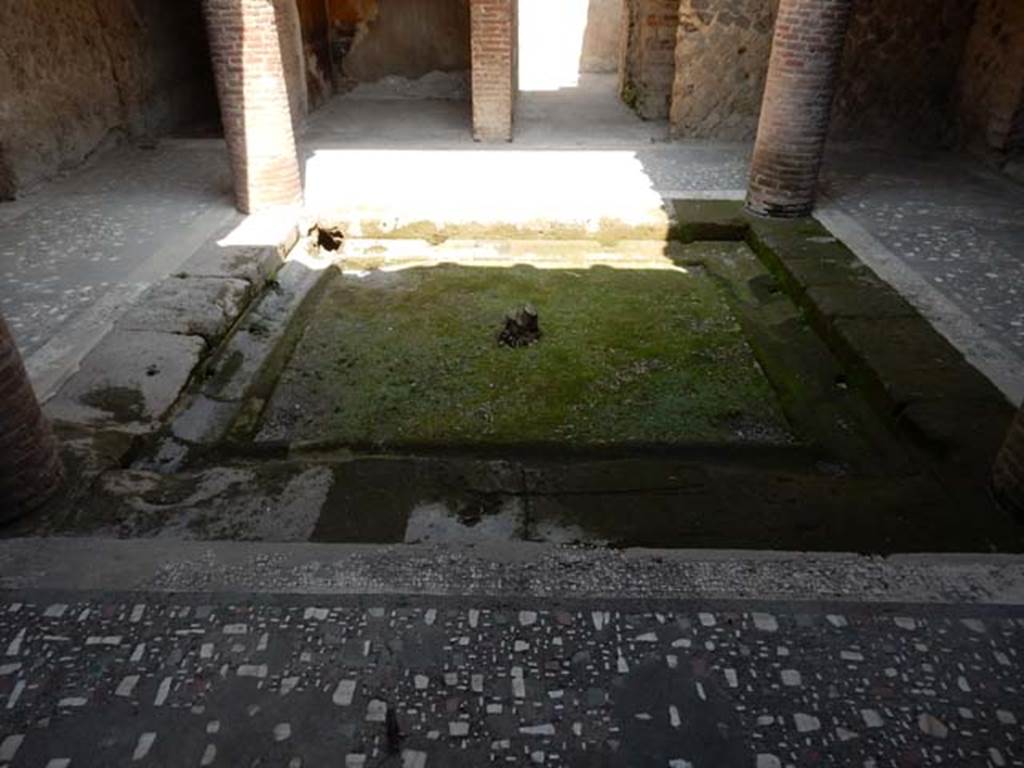 Villa of Mysteries, Pompeii. May 2015. Looking east across impluvium in room 62.
Photo courtesy of Buzz Ferebee.