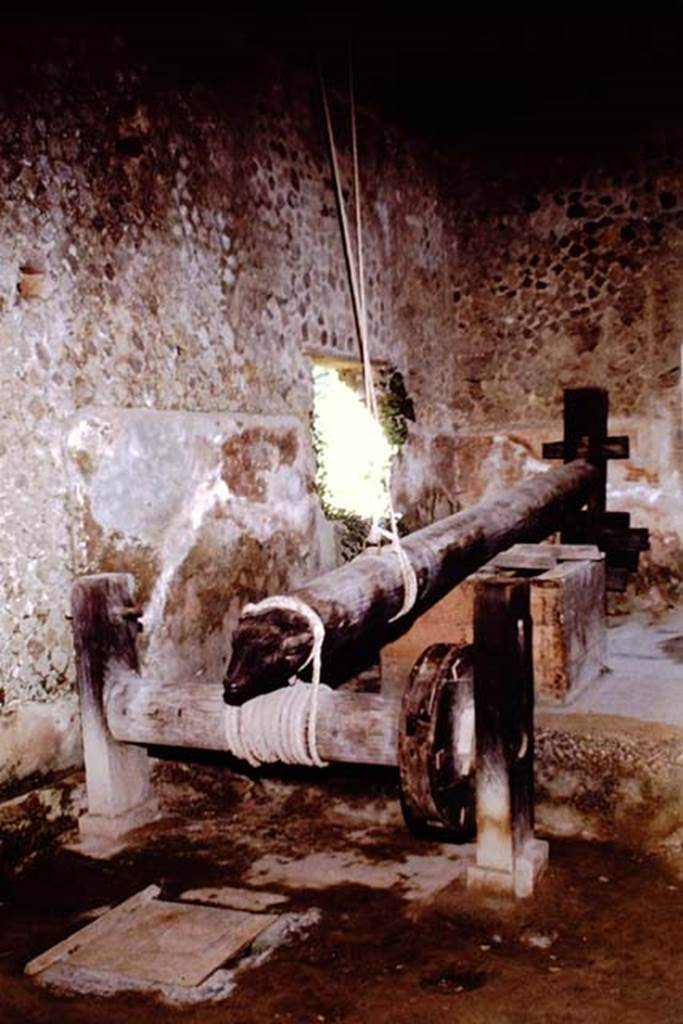 Villa of Mysteries, Pompeii. 1966. Room 48-9, looking east along wine press on the north wall. Photo by Stanley A. Jashemski.
Source: The Wilhelmina and Stanley A. Jashemski archive in the University of Maryland Library, Special Collections (See collection page) and made available under the Creative Commons Attribution-Non Commercial License v.4. See Licence and use details.
J66f1025
