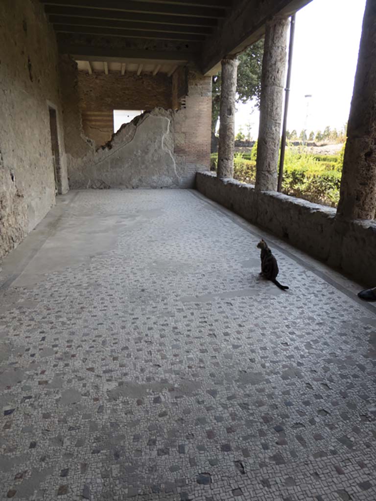 Villa of Mysteries, Pompeii. September 2017. Looking west along the portico P4.
Foto Annette Haug, ERC Grant 681269 DÉCOR.