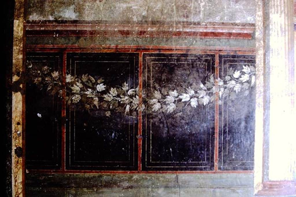 Villa of Mysteries, Pompeii. 1968. Room 6, detail of painted garland on west wall. Photo by Stanley A. Jashemski.
Source: The Wilhelmina and Stanley A. Jashemski archive in the University of Maryland Library, Special Collections (See collection page) and made available under the Creative Commons Attribution-Non Commercial License v.4. See Licence and use details.
J68f1389