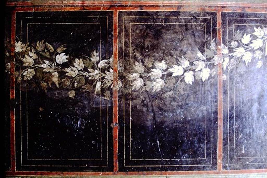 Villa of Mysteries, Pompeii. 1968. Room 6, detail of painted garland on west wall. Photo by Stanley A. Jashemski.
Source: The Wilhelmina and Stanley A. Jashemski archive in the University of Maryland Library, Special Collections (See collection page) and made available under the Creative Commons Attribution-Non Commercial License v.4. See Licence and use details.
J68f1390