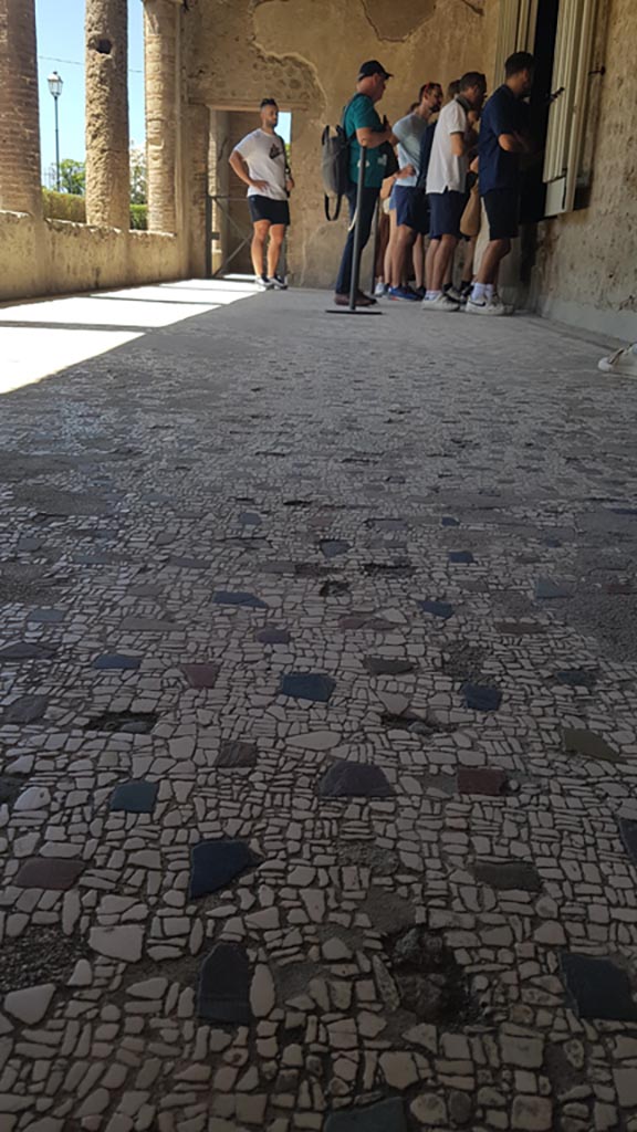 Villa of Mysteries, Pompeii. August 2023. 
Portico P1, looking west along flooring. Photo courtesy of Maribel Velasco.