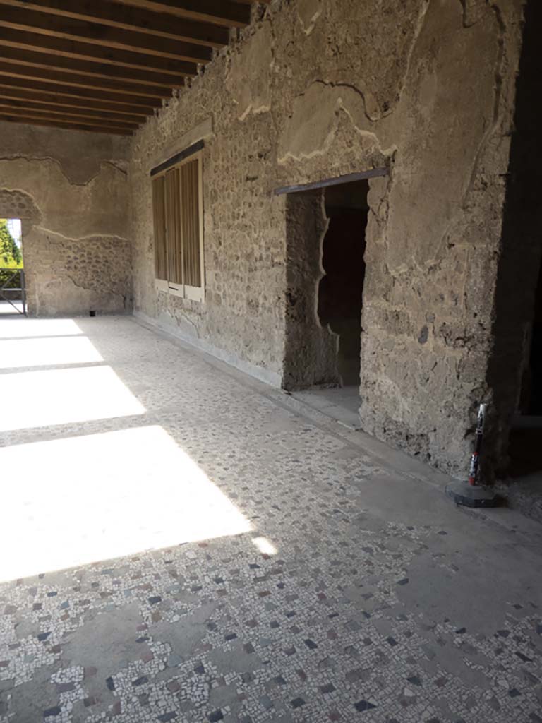 Villa of Mysteries, Pompeii. September 2017. Portico P1, looking west along north wall.
Foto Annette Haug, ERC Grant 681269 DÉCOR.