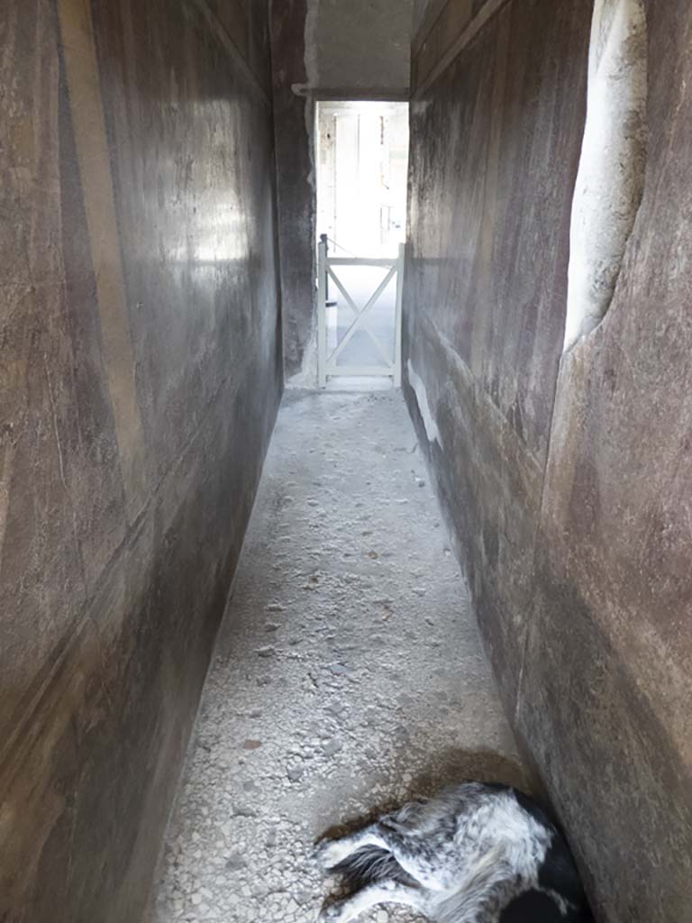 Villa of Mysteries, Pompeii. September 2017. Corridor F3, looking east across flooring.
Foto Annette Haug, ERC Grant 681269 DÉCOR.