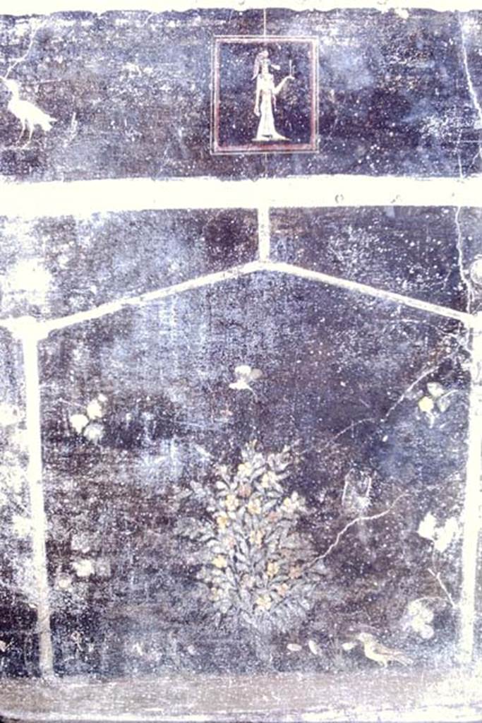 Villa of Mysteries, Pompeii. 1968. Room 2, tablinum, west end of the north wall. Photo by Stanley A. Jashemski.
Source: The Wilhelmina and Stanley A. Jashemski archive in the University of Maryland Library, Special Collections (See collection page) and made available under the Creative Commons Attribution-Non Commercial License v.4. See Licence and use details.
J68f1377