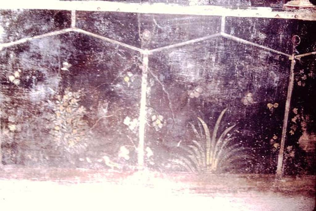 Villa of Mysteries, Pompeii. 1966. Room 2, tablinum, detail of painted plants from west end of the north wall. Photo by Stanley A. Jashemski.
Source: The Wilhelmina and Stanley A. Jashemski archive in the University of Maryland Library, Special Collections (See collection page) and made available under the Creative Commons Attribution-Non Commercial License v.4. See Licence and use details.
J66f1032