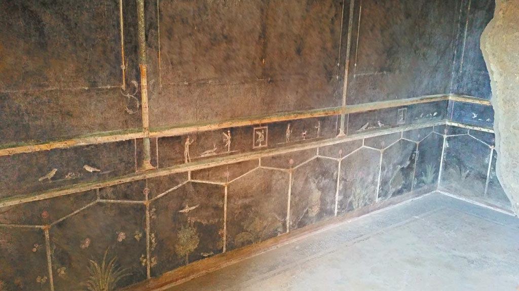 Villa of Mysteries, Pompeii. c.2015-2017. 
Room 2, tablinum, looking east along north wall towards north-east corner. Photo courtesy of Giuseppe Ciaramella.