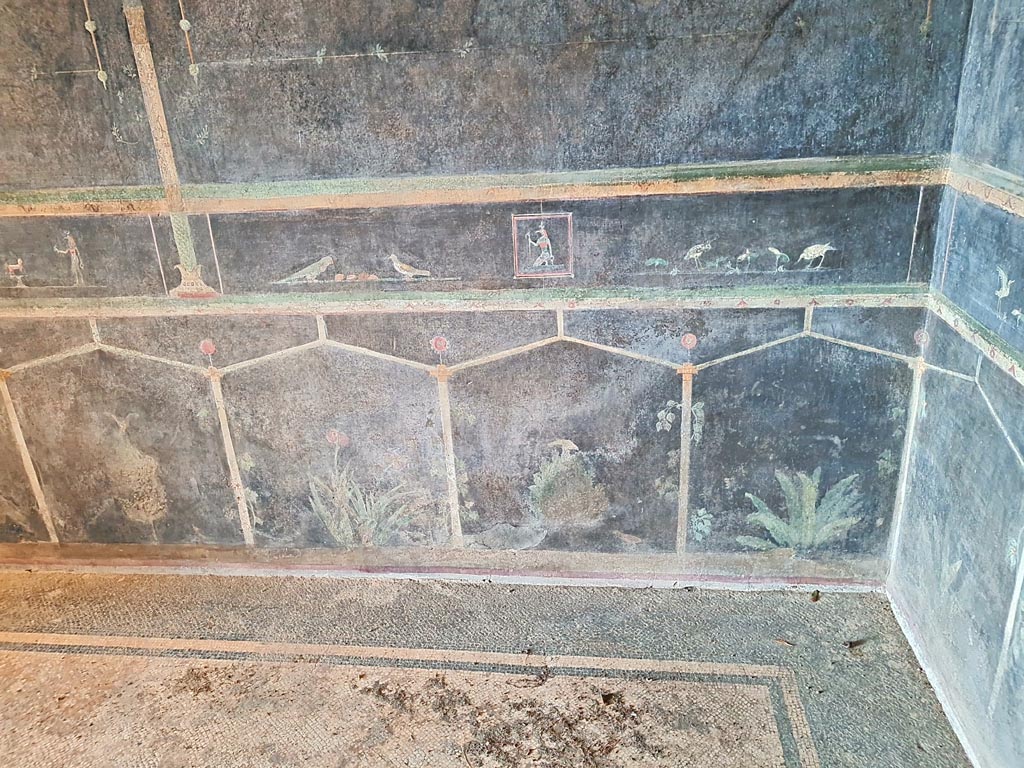 Villa of Mysteries, Pompeii. November 2023. Room 2, tablinum, lower north-east corner. Photo courtesy of Giuseppe Ciaramella.