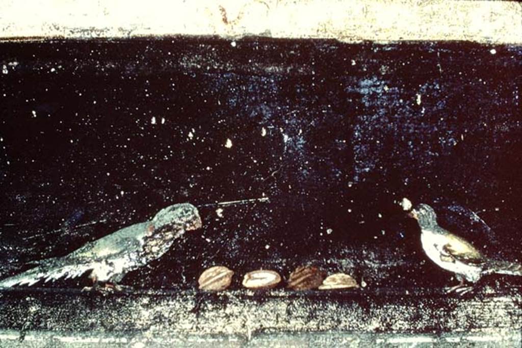 Villa of Mysteries, Pompeii. 1968.  Room 2, lower east end of north wall, detail of painted birds with nuts. 
Photo by Stanley A. Jashemski.
Source: The Wilhelmina and Stanley A. Jashemski archive in the University of Maryland Library, Special Collections (See collection page) and made available under the Creative Commons Attribution-Non Commercial License v.4. See Licence and use details.
J68f1374