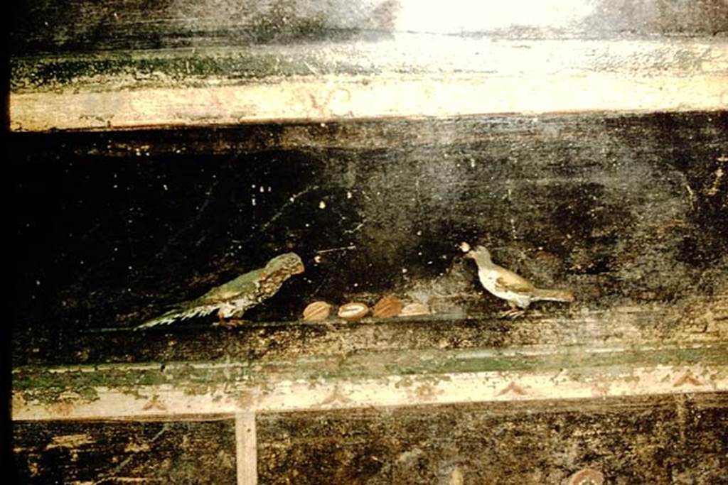 Villa of Mysteries, Pompeii. 1957.  Room 2, lower east end of north wall, detail of painted birds with nuts. 
Photo by Stanley A. Jashemski.
Source: The Wilhelmina and Stanley A. Jashemski archive in the University of Maryland Library, Special Collections (See collection page) and made available under the Creative Commons Attribution-Non Commercial License v.4. See Licence and use details.
J57f0370