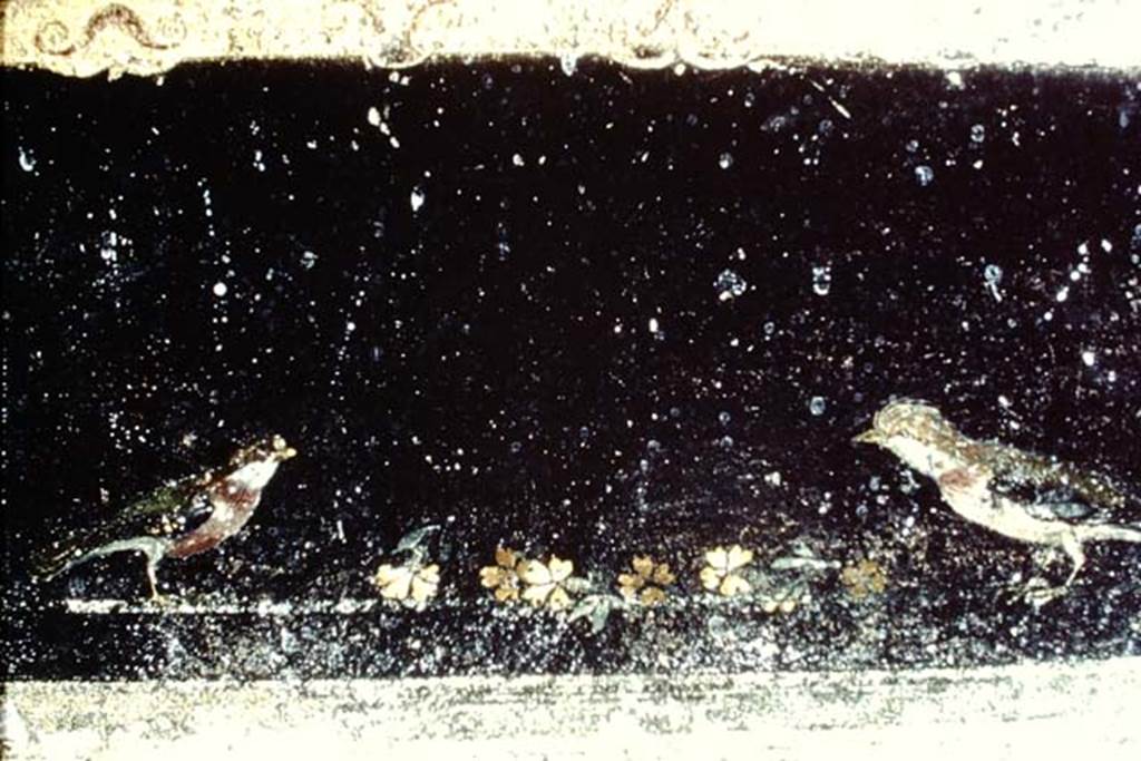 Villa of Mysteries, Pompeii. 1968.  Room 2, tablinum, detail from south wall near doorway to room 4.
Photo by Stanley A. Jashemski.
Source: The Wilhelmina and Stanley A. Jashemski archive in the University of Maryland Library, Special Collections (See collection page) and made available under the Creative Commons Attribution-Non Commercial License v.4. See Licence and use details.
J68f1381