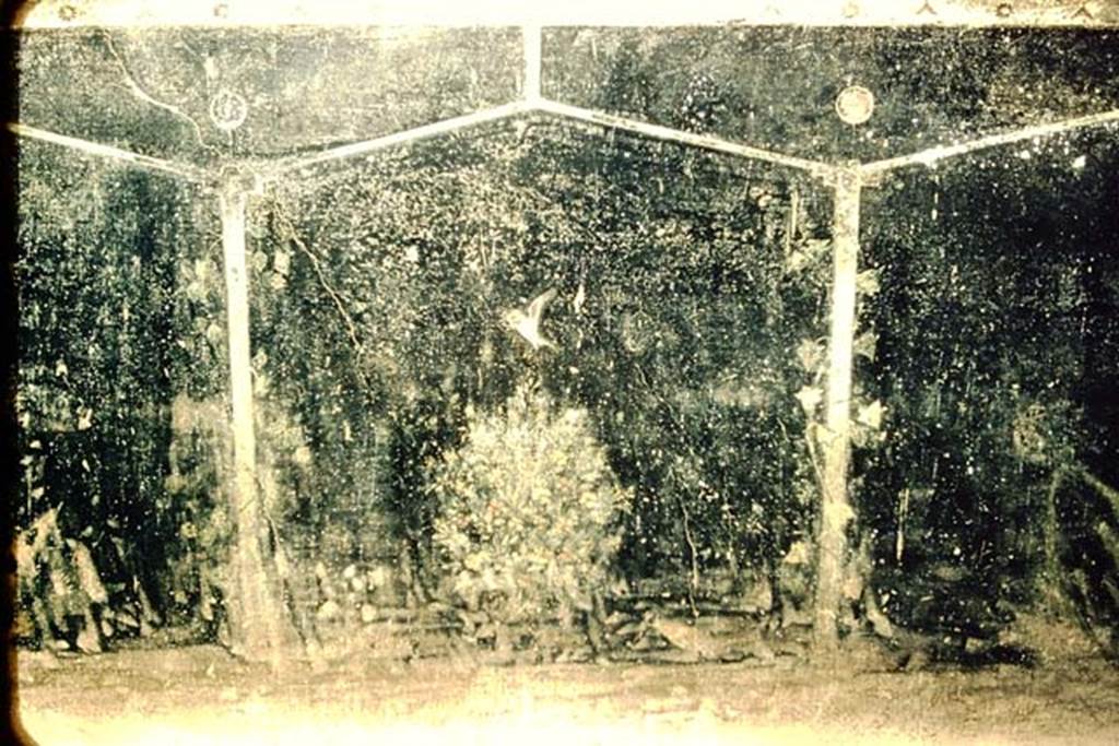 Villa of Mysteries, Pompeii. 1957.  Room 2, tablinum, detail from south wall near doorway to room 4. Photo by Stanley A. Jashemski.
Source: The Wilhelmina and Stanley A. Jashemski archive in the University of Maryland Library, Special Collections (See collection page) and made available under the Creative Commons Attribution-Non Commercial License v.4. See Licence and use details.
J57f0373