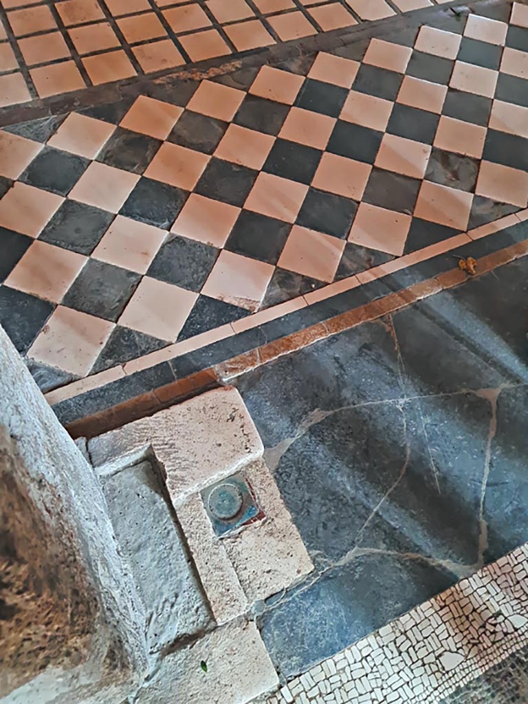 Villa of Mysteries, Pompeii. November 2023. 
Room 5, detail of north end of doorway threshold from portico P2. Photo courtesy of Giuseppe Ciaramella.