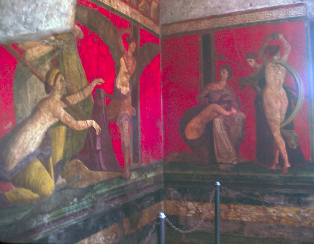 Villa dei Misteri, Pompeii. October 1981. Room 5, detail in south-east corner.
Photo courtesy of Rick Bauer, from Dr George Fay’s slides collection.