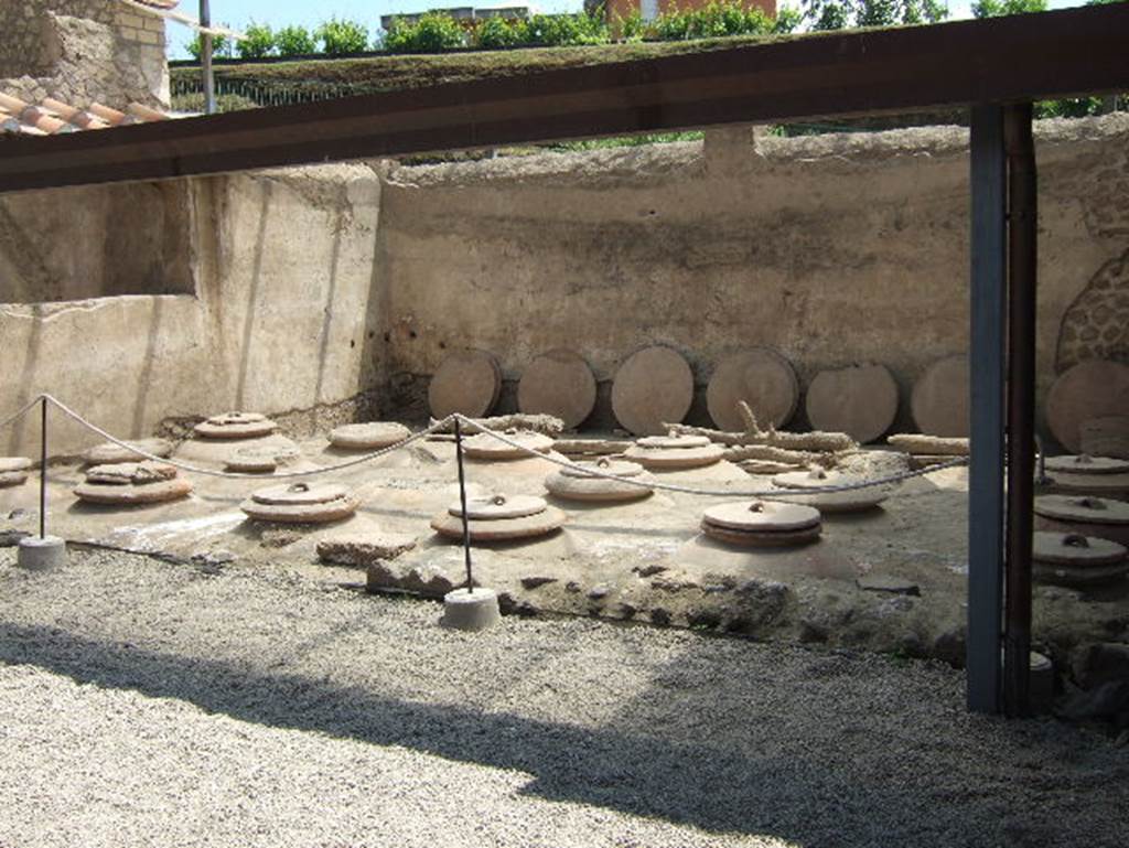 18 dolia at Villa Regina, Boscoreale. May 2006. Room I, looking north-east across cella vinaria.
After the grapes were pressed, the juice of the grapes was fermented in these dolia embedded in the courtyard.
According to the Boscoreale Antiquarium, this villa was used exclusively for the production of wine. 
This is shown by the presence of a torcularium and a cella vinaria. 
Paleo-botanic research has shown the presence of a vineyard which has today been replanted.