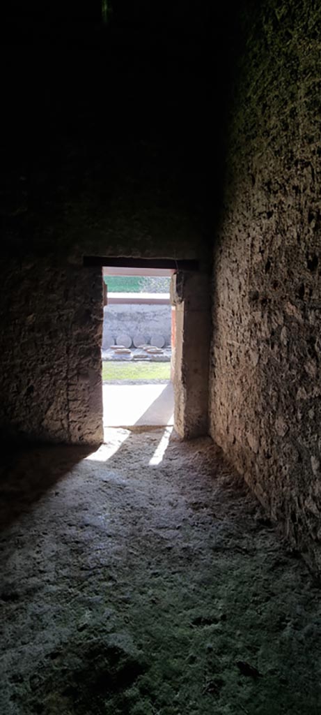 Villa Regina, Boscoreale. December 2023. 
Room II, looking east towards doorway across portico VII.
Photo courtesy of Miriam Colomer.