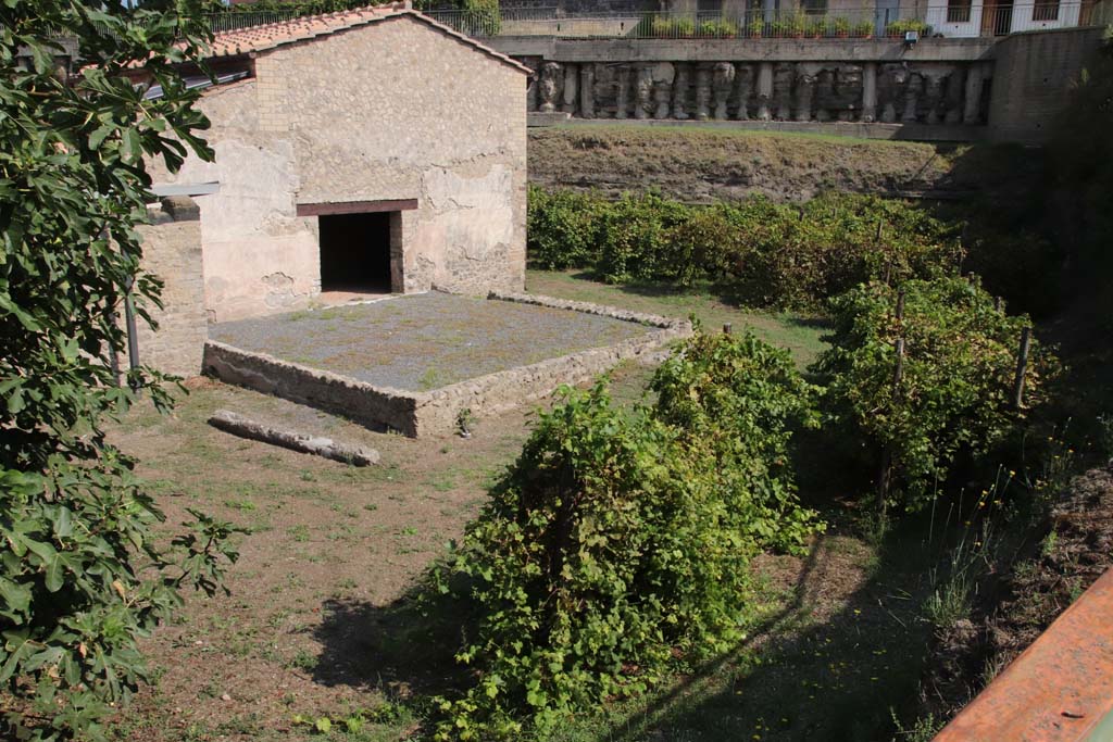Villa Regina, Boscoreale. September 2021. 
Looking north along east side towards threshing terrace XVII, and doorway into room VIII, the barn. Photo courtesy of Klaus Heese.