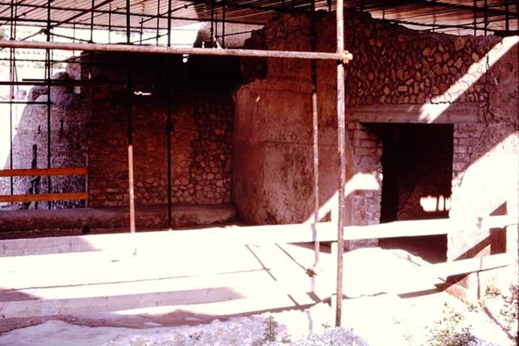 Villa Regina, Boscoreale. 1980. Threshing terrace XVII on east side, with doorway into room VIII, the barn.
Photo by Stanley A. Jashemski.   
Source: The Wilhelmina and Stanley A. Jashemski archive in the University of Maryland Library, Special Collections (See collection page) and made available under the Creative Commons Attribution-Non Commercial License v.4. See Licence and use details.
J80f0187