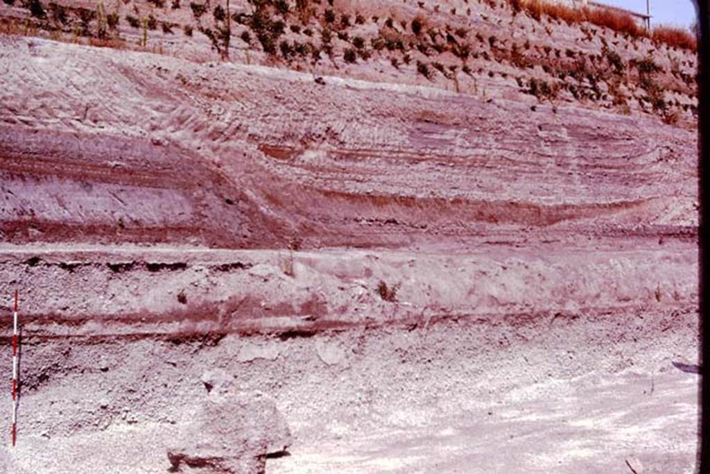 Villa Regina, Boscoreale. 1980. North side of site. Ash layers in the cut made for the excavations. 
According to Wilhelmina, in 1981 “Professor Sigurdsson, a volcanologist, visited our excavations and he pointed out that, in the new cut that had been made to prepare the part we were to excavate, the stratification of the fill that covered Boscoreale was clearly visible and quite different than at Pompeii. First there was a substantial airflow of pumice up to a thickness of 1.45 meters. Next came a brief ground surge made up of coarse pumice.”
See Jashemski W. F., 2014. Discovering the Gardens of Pompeii: The Memoirs of a Garden Archaeologist 1955 – 2004, p. 279.
Photo by Stanley A. Jashemski.
Source: The Wilhelmina and Stanley A. Jashemski archive in the University of Maryland Library, Special Collections (See collection page) and made available under the Creative Commons Attribution-Non Commercial License v.4. See Licence and use details.
J80f0177
