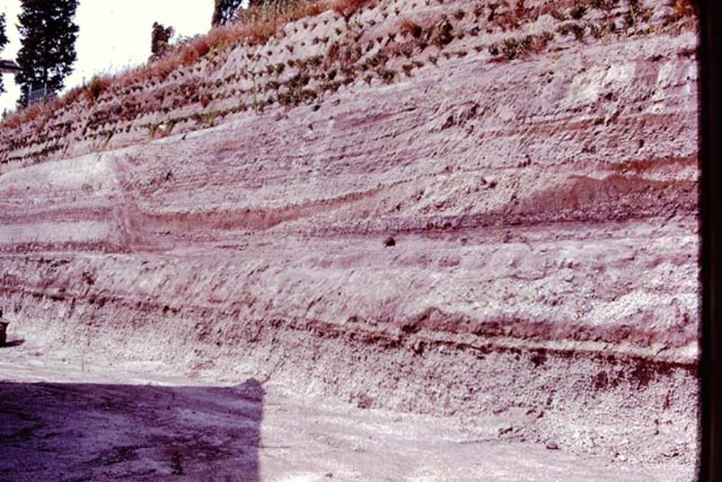 Villa Regina, Boscoreale. 1980. Ash layers on north side of site. Photo by Stanley A. Jashemski.   
Source: The Wilhelmina and Stanley A. Jashemski archive in the University of Maryland Library, Special Collections (See collection page) and made available under the Creative Commons Attribution-Non Commercial License v.4. See Licence and use details.
J80f0178