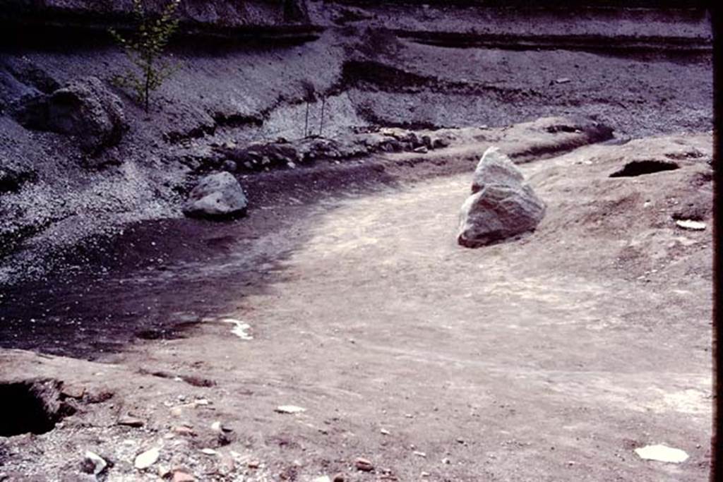 Villa Regina, Boscoreale. 1983. Path of ancient road with two stones said to be marker stones.
Source: The Wilhelmina and Stanley A. Jashemski archive in the University of Maryland Library, Special Collections (See collection page) and made available under the Creative Commons Attribution-Non Commercial License v.4. See Licence and use details.
J80f0532