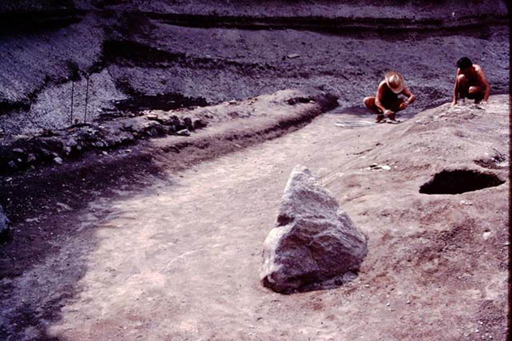 Villa Regina, Boscoreale. 1983. Path of ancient road.   
Source: The Wilhelmina and Stanley A. Jashemski archive in the University of Maryland Library, Special Collections (See collection page) and made available under the Creative Commons Attribution-Non Commercial License v.4. See Licence and use details.
J80f0533