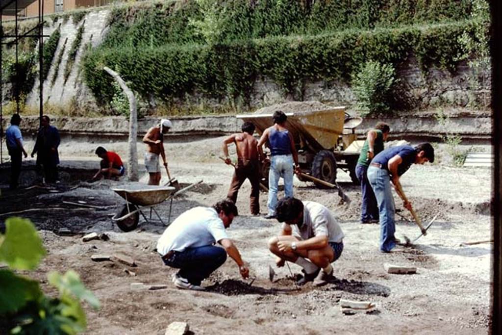 Villa Regina, Boscoreale. 1983. Excavations in progress at the south side of the villa.
Source: The Wilhelmina and Stanley A. Jashemski archive in the University of Maryland Library, Special Collections (See collection page) and made available under the Creative Commons Attribution-Non Commercial License v.4. See Licence and use details.
J80f0617