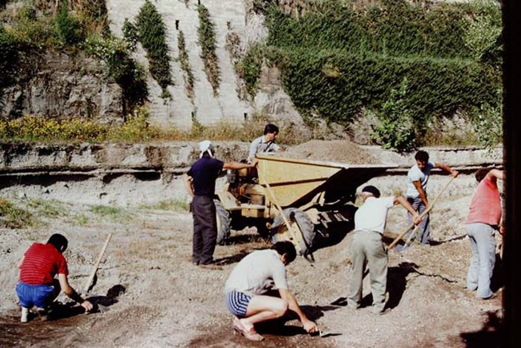 Villa Regina, Boscoreale. 1983. Excavations in progress on south side of site.
Source: The Wilhelmina and Stanley A. Jashemski archive in the University of Maryland Library, Special Collections (See collection page) and made available under the Creative Commons Attribution-Non Commercial License v.4. See Licence and use details.
J80f0615