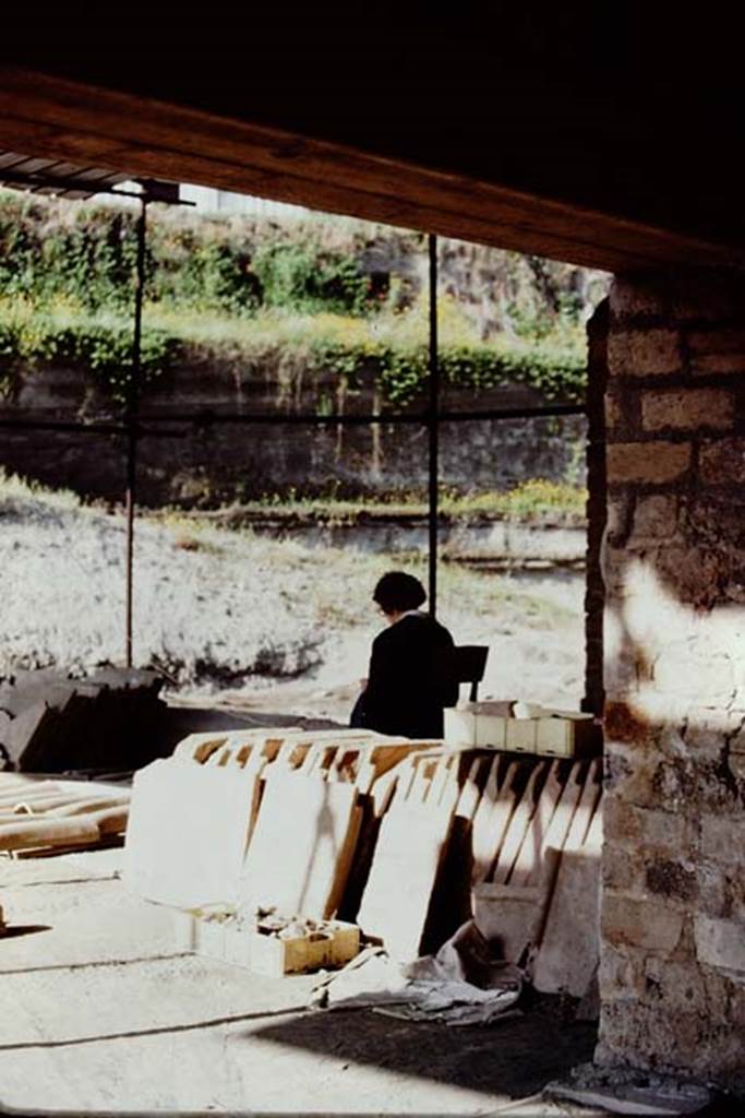 Villa Regina, Boscoreale. 1983. Wilhelmina working on the threshing terrace at Villa Regina. 
Source: The Wilhelmina and Stanley A. Jashemski archive in the University of Maryland Library, Special Collections (See collection page) and made available under the Creative Commons Attribution-Non Commercial License v.4. See Licence and use details.
J80f0612