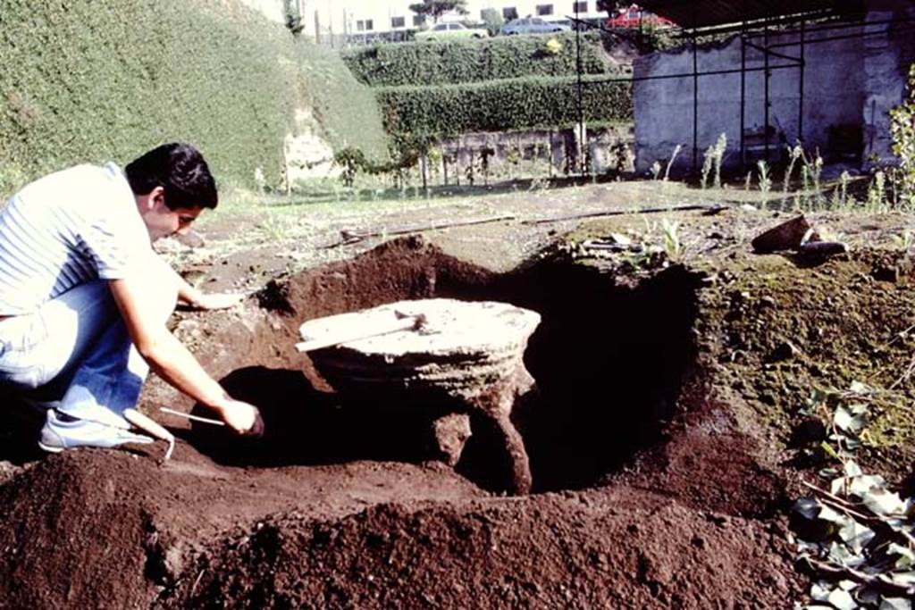 Villa Regina, Boscoreale. 1984. Cast of tree roots in north-east corner of site.
Source: The Wilhelmina and Stanley A. Jashemski archive in the University of Maryland Library, Special Collections (See collection page) and made available under the Creative Commons Attribution-Non Commercial License v.4. See Licence and use details. J84f0042