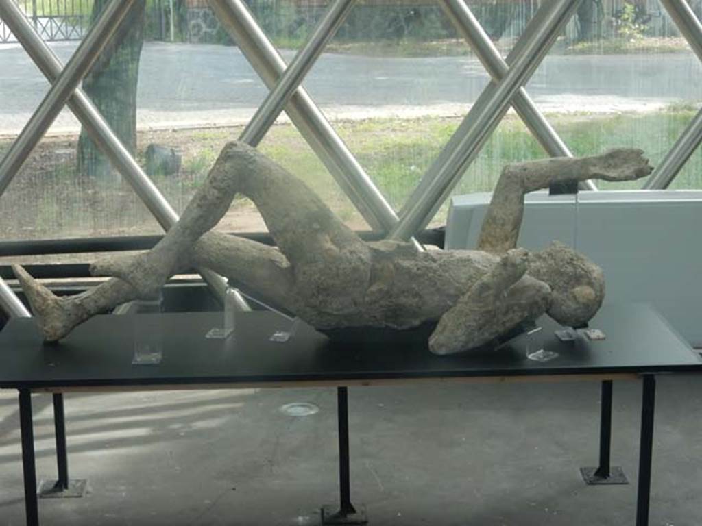 Piazza Anfiteatro. Pompeii. May 2018. Mystery plaster-cast on display in exhibition centre. Photo courtesy of Buzz Ferebee.
According to Maiuri, one of the two plaster-casts taken in the excavation of the Palaestra (1933, and 1935-39) was the 
“the handsome body of a young man, one of those strong, agile young men from Campania, with athletic legs just made for running and for the last gasp of the race”.  The victim had been identified as an athlete, also because of the discovery near his body of bronze strigils, usually used by gymnasts”
See Guzzo, P. (ed), (2003). Tales from an eruption. Milano, Electa. (p.143, article by Tiziana Rocco.
(Our comment: With his beautiful muscled legs, we are wondering if this was the other plaster-cast taken in the Palaestra by Maiuri, and described as “a man still appearing to be running, even in death”.)
(Estelle Lazer's, (the expert on plaster-casts) answered:
This cast is a bit of a mystery.  I have spoken to several people about it and no one seems to know when it was cast or where it came from.
It was stored in the church in Pompeii and came back to the site when the cast restoration project started in 2015. 
We have x-rayed it extensively.  It has what appears to be a complete skeleton and appears to be intact. 
I will certainly let you know if I can manage to find out more about it.) 
According to Garcia y Garcia, with regards to plaster casts that were shown in the antiquarium prior to the 1943 bombing, they perhaps were either destroyed, or are now located elsewhere.
See Garcia y Garcia, L., 2006. Danni di guerra a Pompei. Rome: L’Erma di Bretschneider, (p.194).
(Comment: we would love to find out what happened to the Maiuri plaster-cast, was it in the Antiquarium when it was bombed in 1943?, or had it already been sent to the Pompeii church for storage?, surely such a beautiful plaster-cast would have been displayed ? Please feel free to make a comment on this mystery.)
