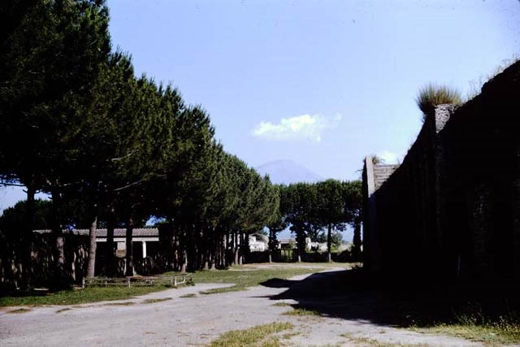 Piazzale Anfiteatro, Pompeii. 1964. Looking north, Grand Palestra on the left, Amphitheatre on the right. Photo by Stanley A. Jashemski.
Source: The Wilhelmina and Stanley A. Jashemski archive in the University of Maryland Library, Special Collections (See collection page) and made available under the Creative Commons Attribution-Non Commercial License v.4. See Licence and use details.
J64f1261
