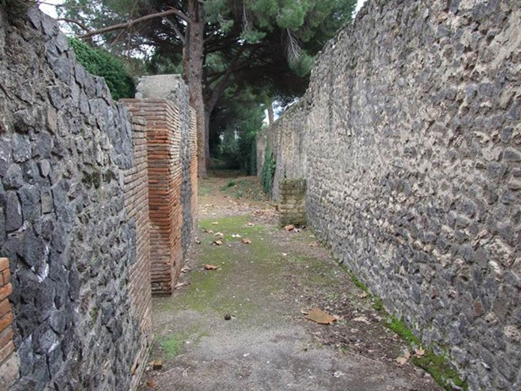 Unnamed vicolo between II.7 and II.8. West side. Looking south from junction with Via della Palestra.. December 2006.