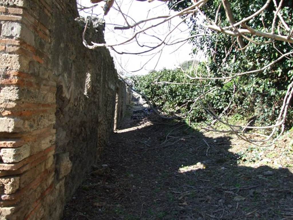 Unnamed vicolo between IX.9 and IX.10. South end.  Looking north from IX.9.12.  March 2009.