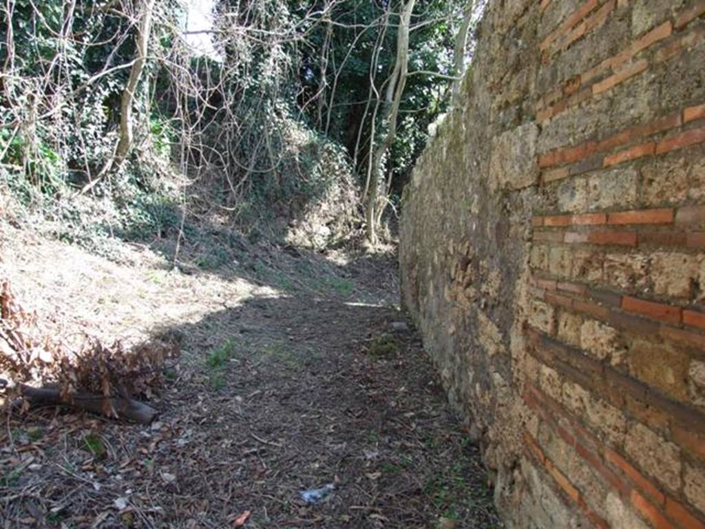 Unnamed vicolo between IX.10 and IX.9.  South end.  Looking south from IX.9.12. March 2009.