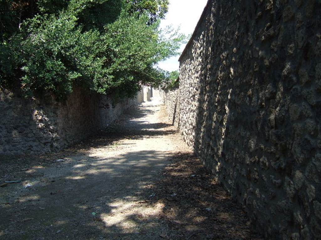 Unnamed vicolo between south end of I.17 and I.16. September 2005. Looking north.