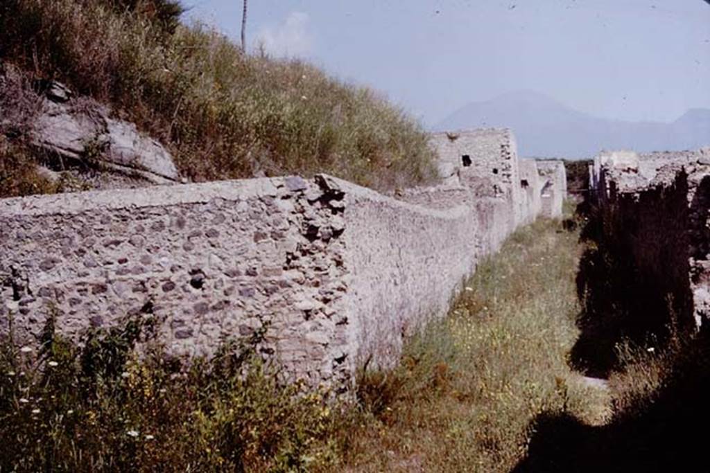 Unnamed vicolo between south end of I.17 and I.16. Pompeii. 1964. Looking north. Photo by Stanley A. Jashemski. 
Source: The Wilhelmina and Stanley A. Jashemski archive in the University of Maryland Library, Special Collections (See collection page) and made available under the Creative Commons Attribution-Non Commercial License v.4. See Licence and use details.
J64f1897