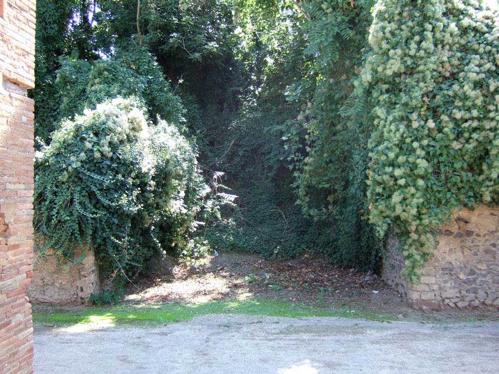 Unnamed, unexcavated vicolo between 1.18 and I.19. September 2005. Looking south.
