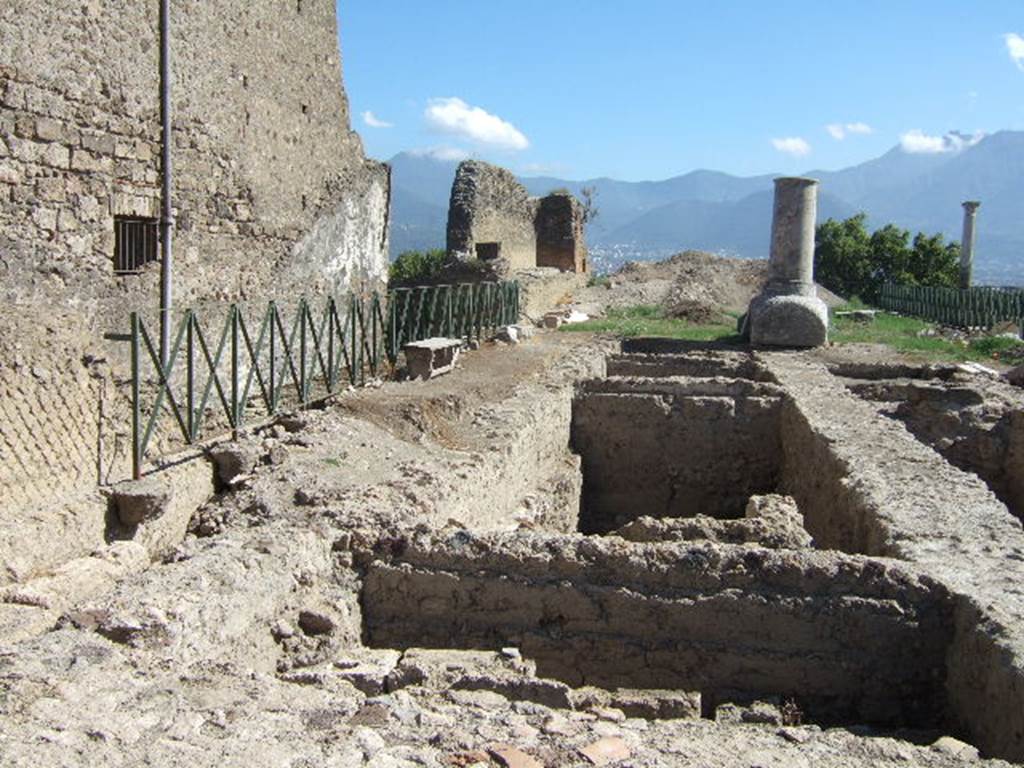 VIII.1.3 Pompeii. September 2005. Looking south from north-east corner. 
The Unnamed vicolo between VIII.1.3 and VIII.1.1 is behind the left side fence.
According to Carroll, the white “monument” at the south end was an unfinished column of limestone for a votive offering.
This was brought in and worked on after 62 AD.
See: Carroll, M. (2010): Exploring the sanctuary of Venus and its sacred grove: politics, cult and identity in Roman Pompeii: Papers of the British School at Rome 78, (2010) pp.63-106.