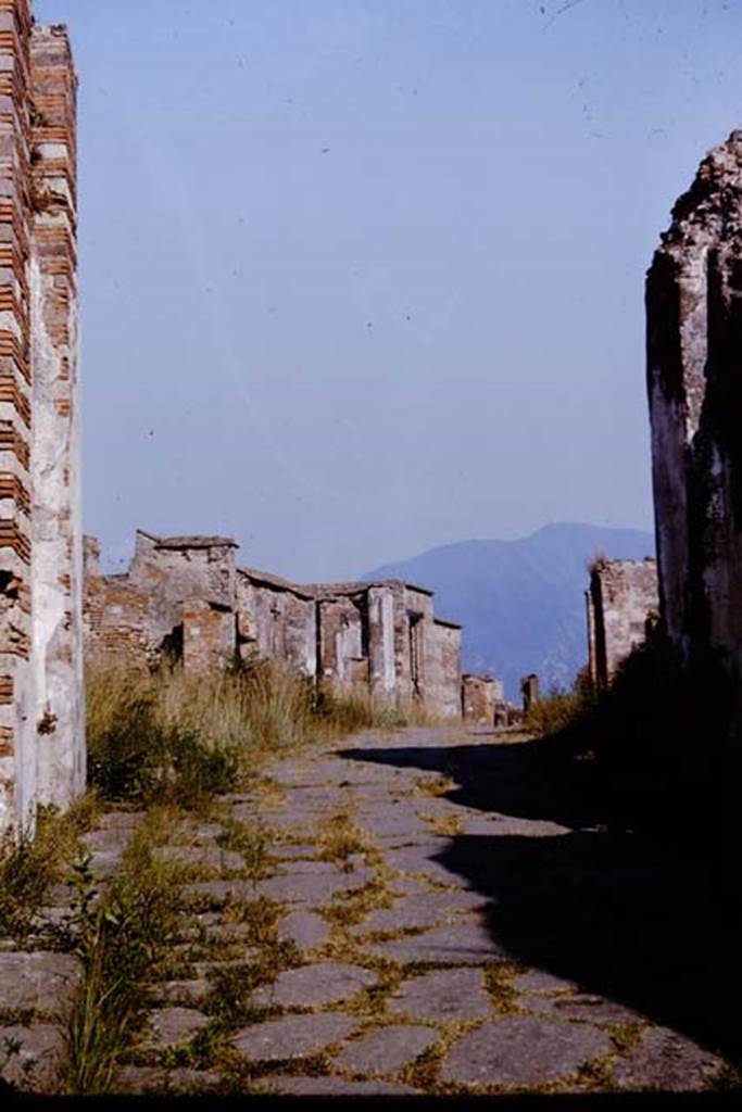 Via Consolare, Pompeii. 1964. Looking south through Herculaneum Gate to Via Consolare. Photo by Stanley A. Jashemski.
Source: The Wilhelmina and Stanley A. Jashemski archive in the University of Maryland Library, Special Collections (See collection page) and made available under the Creative Commons Attribution-Non Commercial License v.4. See Licence and use details.
J64f1835