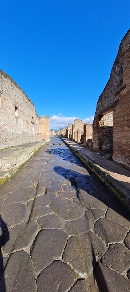 Via Stabiana, April 2022. 
Looking north between VII,1 and IX.1. Photo courtesy of Giuseppe Ciaramella.