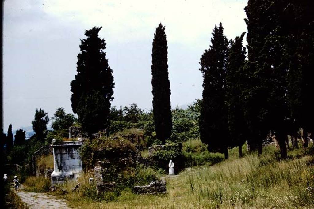 Via dei Sepolcri, Pompeii. 1961. Looking north from near junction with Via Superior, on the right. Photo by Stanley A. Jashemski.
Source: The Wilhelmina and Stanley A. Jashemski archive in the University of Maryland Library, Special Collections (See collection page) and made available under the Creative Commons Attribution-Non Commercial License v.4. See Licence and use details.
J61f0623