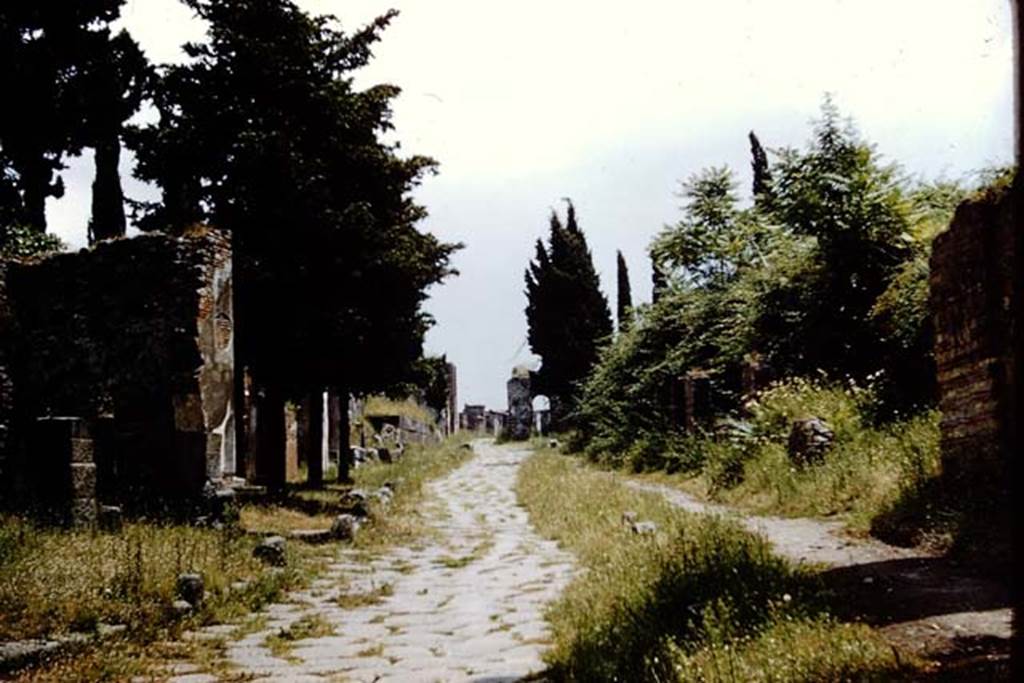 Via dei Sepolcri, Pompeii. 1961. Looking south towards the Herculaneum Gate, from near HGE15. Photo by Stanley A. Jashemski.
Source: The Wilhelmina and Stanley A. Jashemski archive in the University of Maryland Library, Special Collections (See collection page) and made available under the Creative Commons Attribution-Non Commercial License v.4. See Licence and use details.
J61f0622