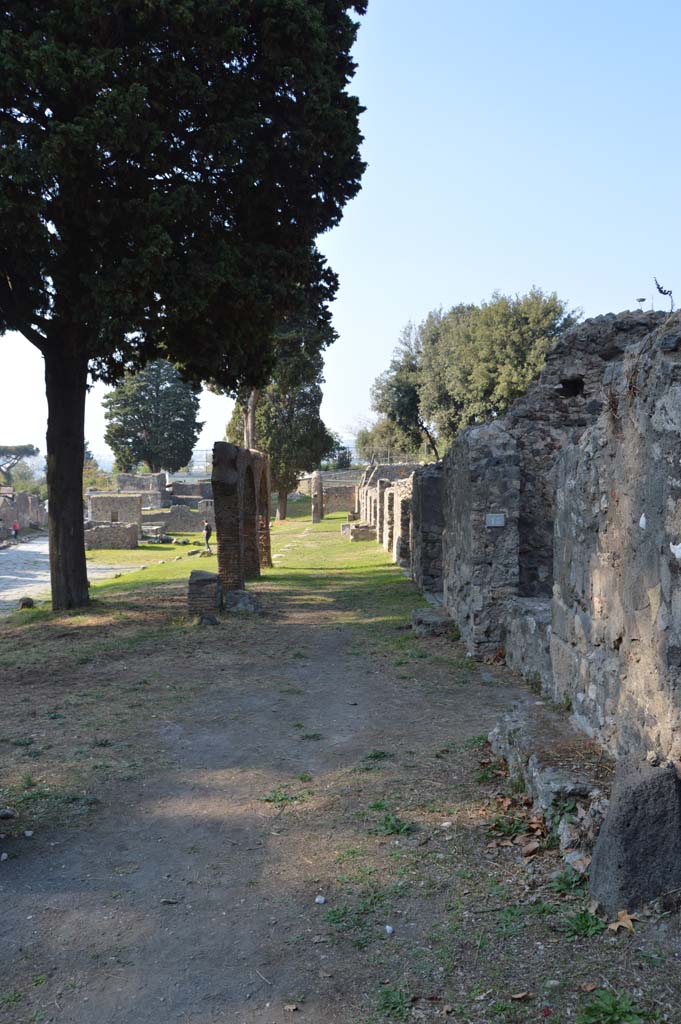 Via dei Sepolcri, east side, Pompeii. October 2017. Looking north.
Foto Taylor Lauritsen, ERC Grant 681269 DÉCOR.