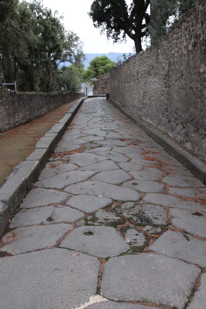 Via dei Teatri between VIII.7 and VIII.6. October 2020. Looking south.
Photo courtesy of Klaus Heese.