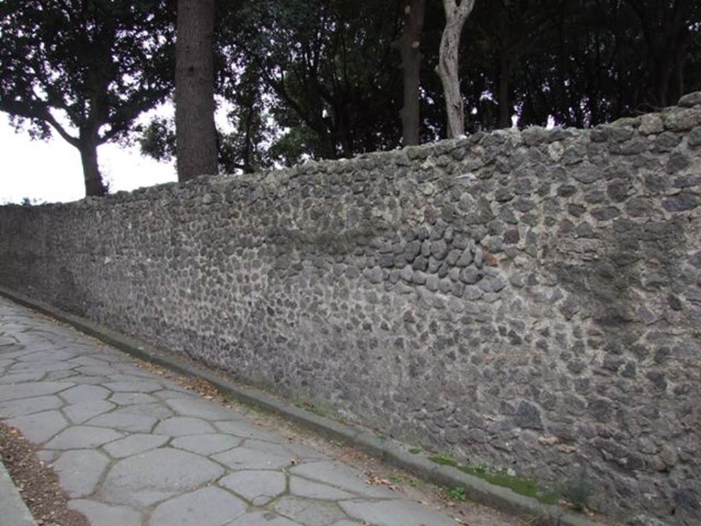 Via dei Teatri, west side at VIII.6. December 2007. Looking south.