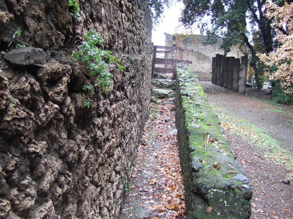 Unnamed access onto Triangular Forum. Looking north along side wall of VIII.2.39. December 2005.